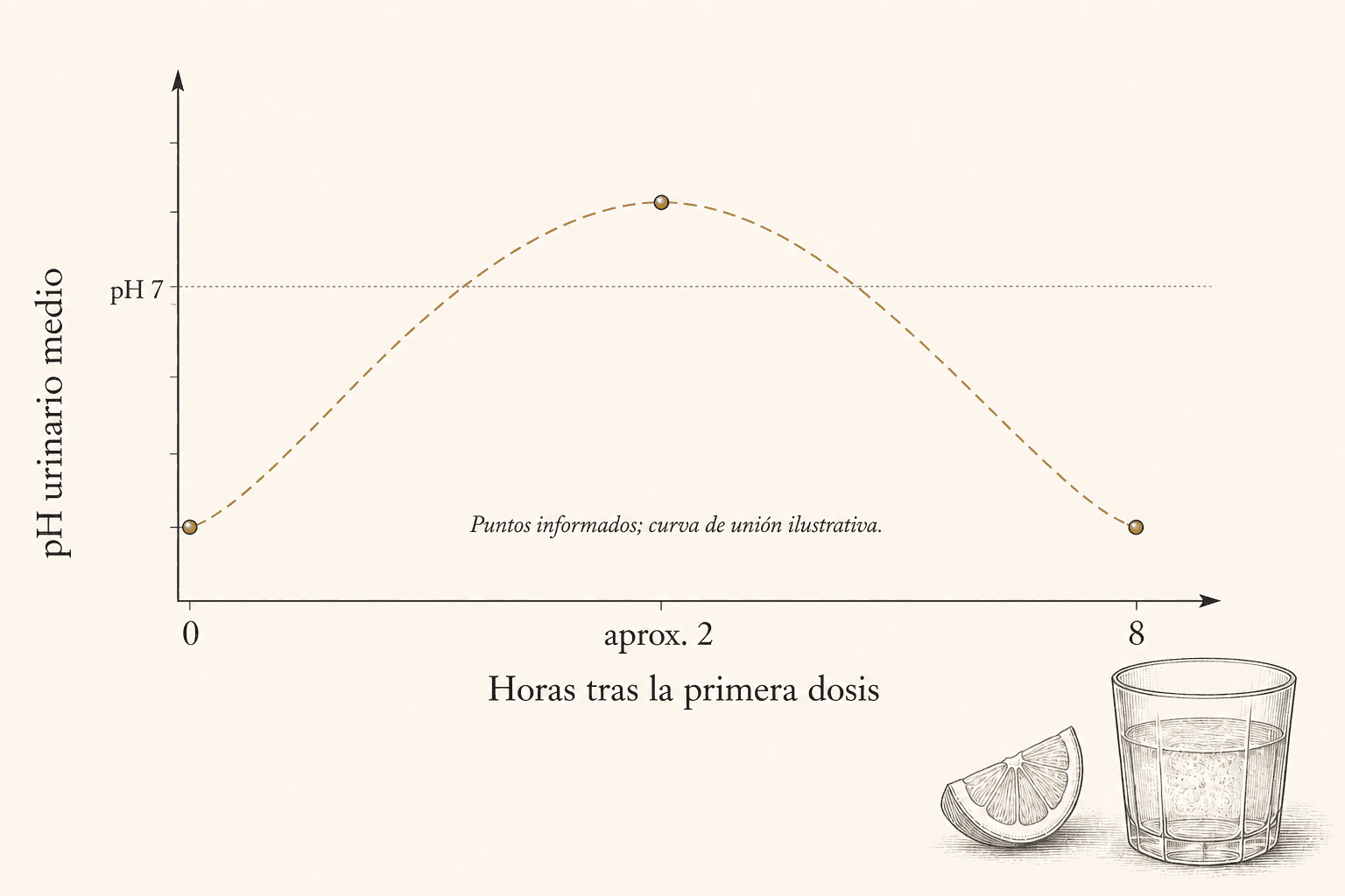Un gráfico de pH urinario claramente etiquetado: valor basal a las cero horas, media por encima de pH 7 hacia las dos horas y retorno al basal a las ocho horas.