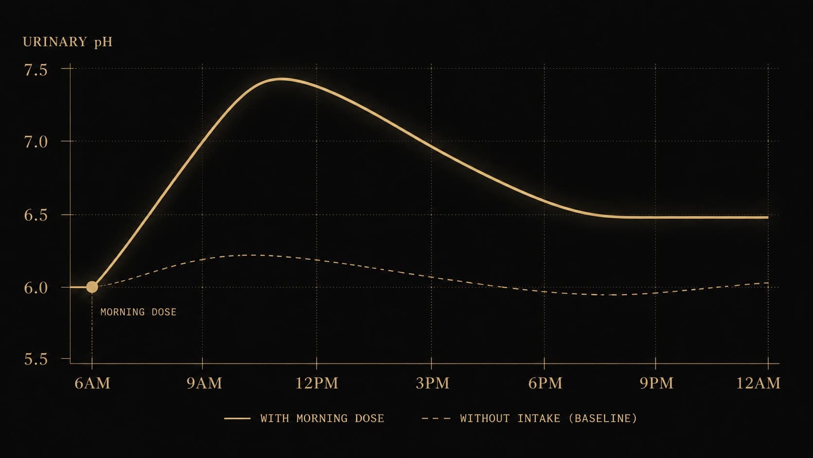 A twenty-four-hour urinary pH chart in luminous aurum on obsidian. The morning-dose curve rises sharply from 6.0 to 7.5 by 11AM, then settles to 6.5 by evening; the no-dose baseline stays close to 6.0 all day.