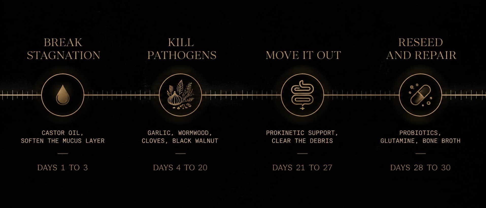 A horizontal four-phase protocol timeline in aurum on obsidian. Four stations along a continuous rail: break stagnation (days 1 to 3), kill pathogens (days 4 to 20), move it out (days 21 to 27), reseed and repair (days 28 to 30).