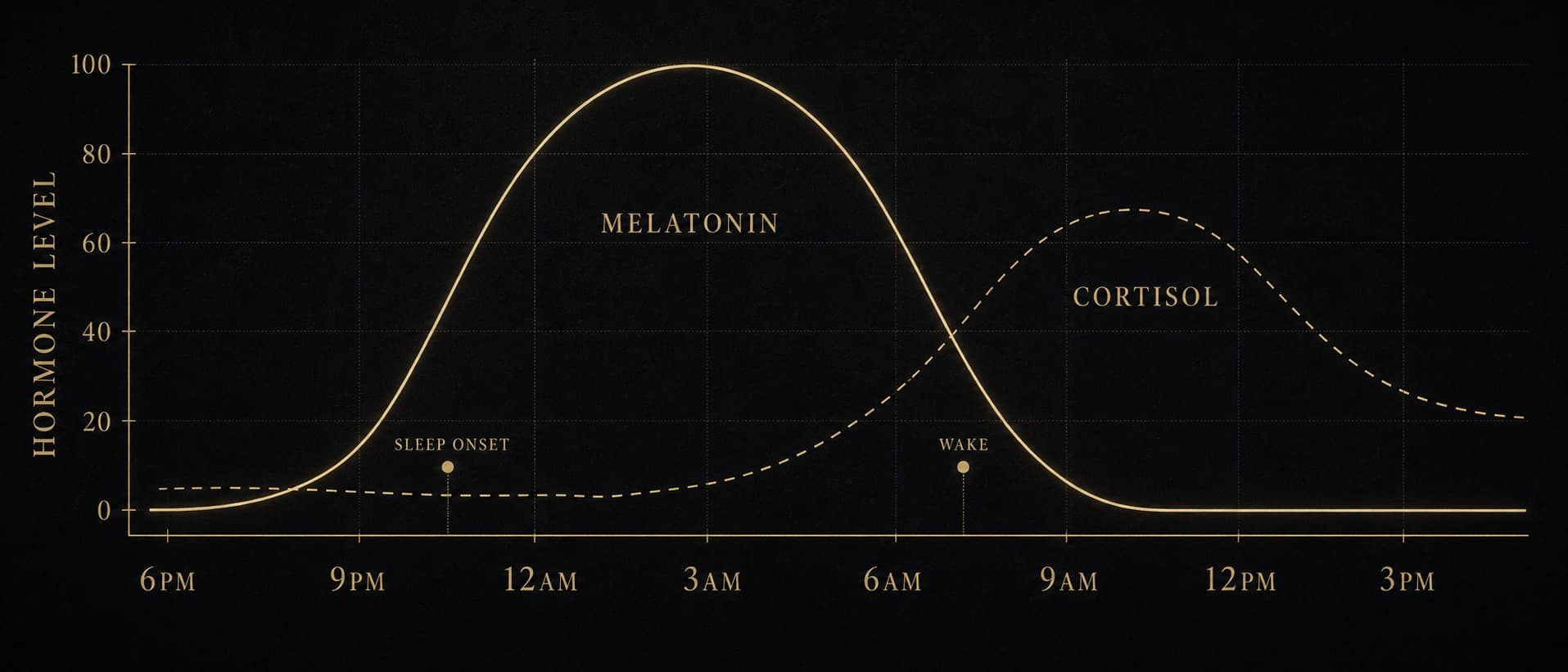A 24-hour chart in aurum on obsidian showing melatonin output as a bell curve peaking around 3AM, and cortisol as a dashed inverse curve peaking near 8AM. Sleep onset and wake markers sit on the x-axis.