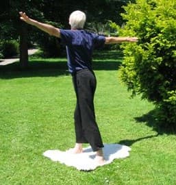 Standing Torso Twists.