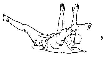 Lie down on back