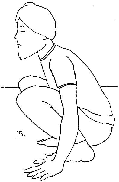 Remain in Crow Pose