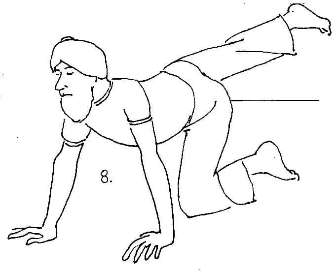 8. Come up onto the hands and knees