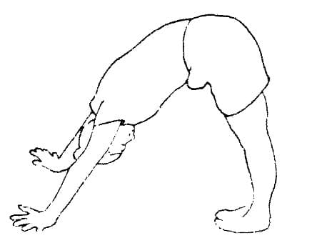 Pose 3, view 2
