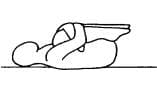 Pose 7