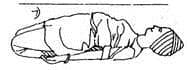 Haltung 7