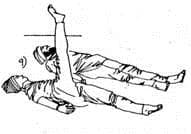 Haltung 9