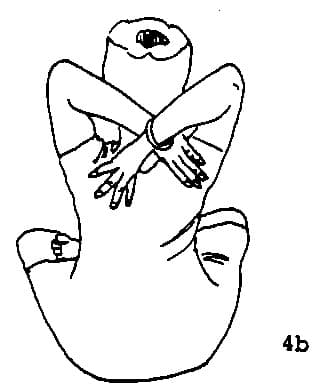 Haltung 4, view 2
