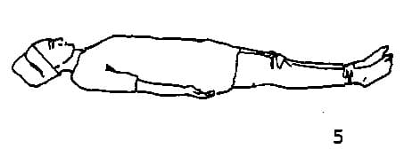Physical and Mental Vitality, figure 1