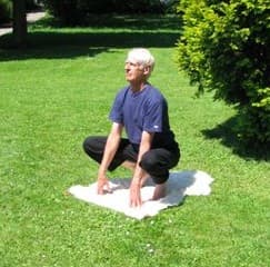 Frog Pose.