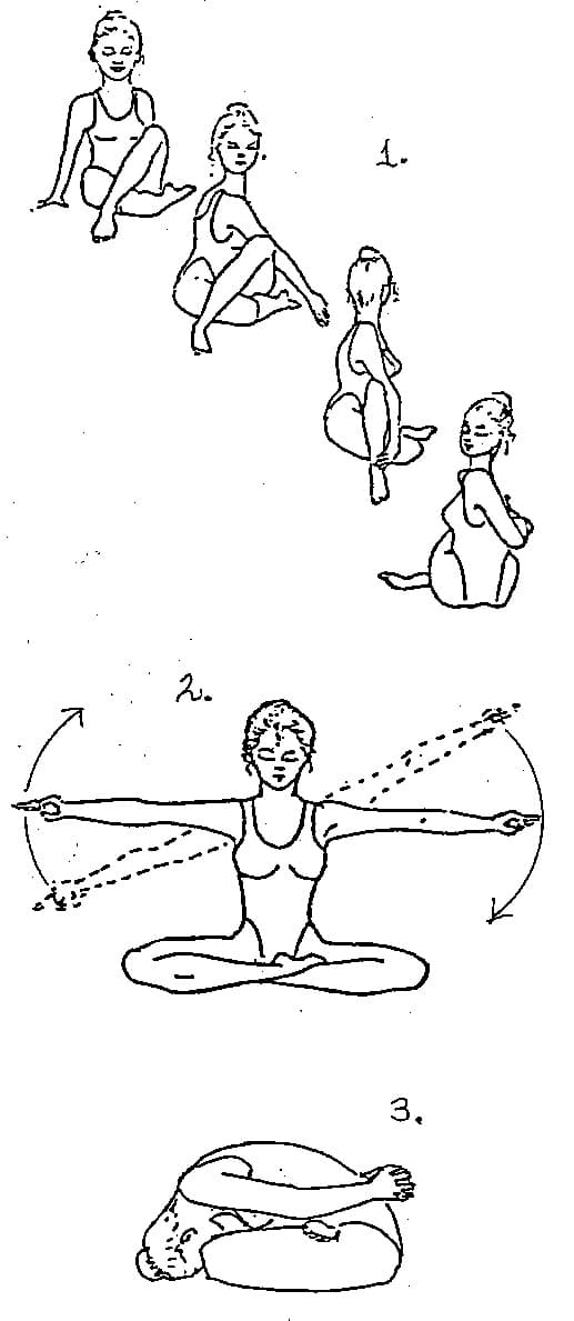 Ardha-Matsyendrasana (Spinal Twist)