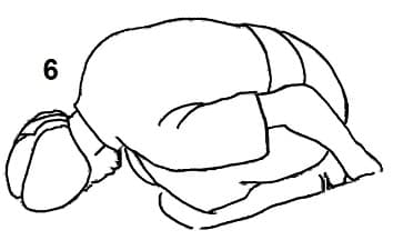 体式 6