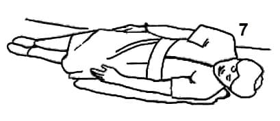 体式 7