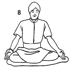 体式 8
