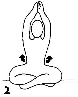 자세 2