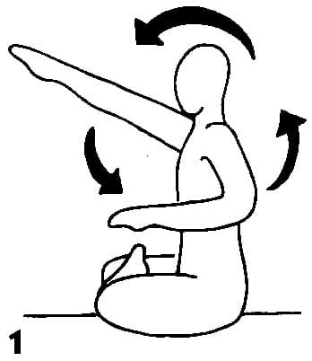 Pose 1