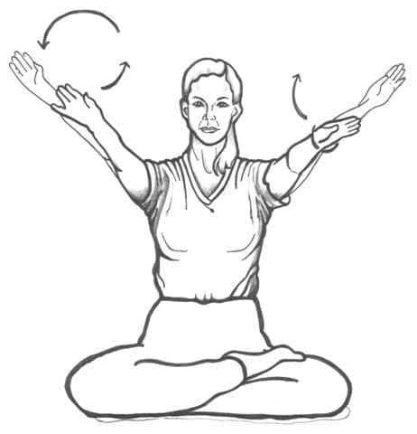 Arm Circles