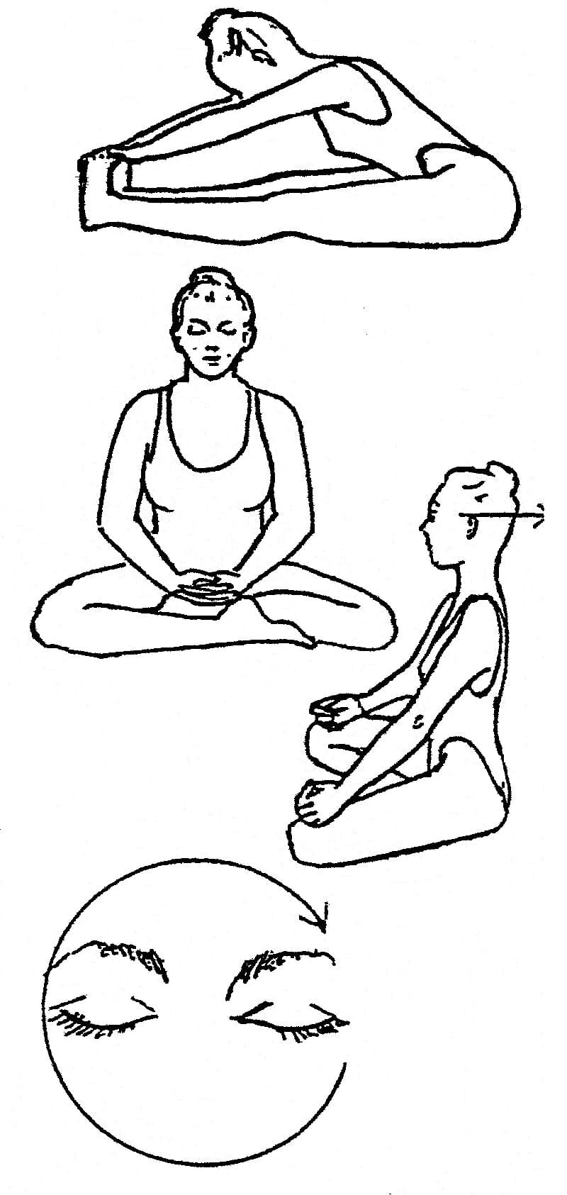 자세 1