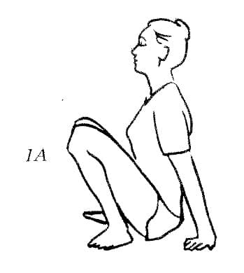 体式 1