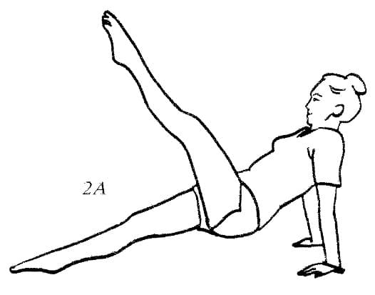 体式 2