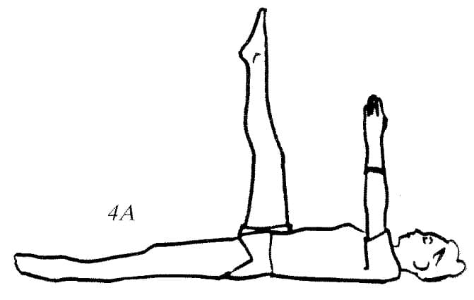 体式 8