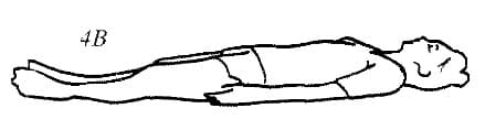 体式 8, view 2