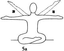 Postura 5