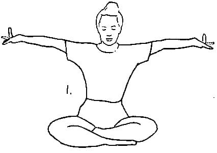 体式 1