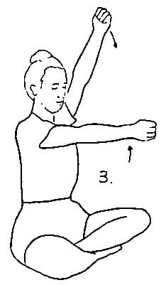 体式 3