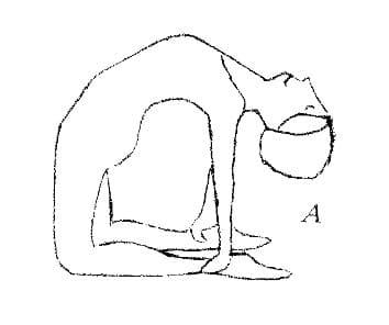 体式 1