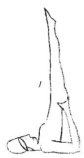 体式 2