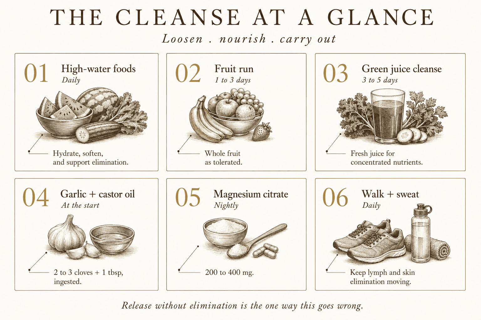 A six-station sequence moves from daily high-water foods through a one-to-three-day fruit run, a three-to-five-day green juice cleanse, garlic with castor oil at the start, nightly magnesium citrate, and daily walking and sweating.