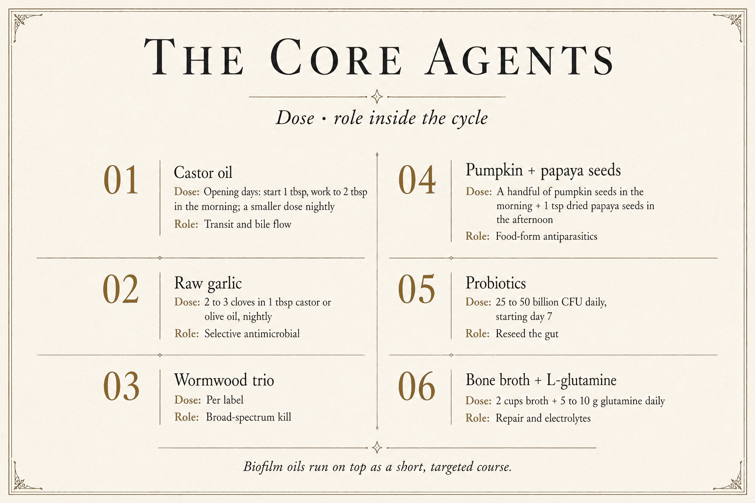 The six core agents pair castor oil, raw garlic, a wormwood trio, pumpkin and papaya seeds, probiotics, and bone broth with glutamine with the doses, timing, and roles stated in the protocol.