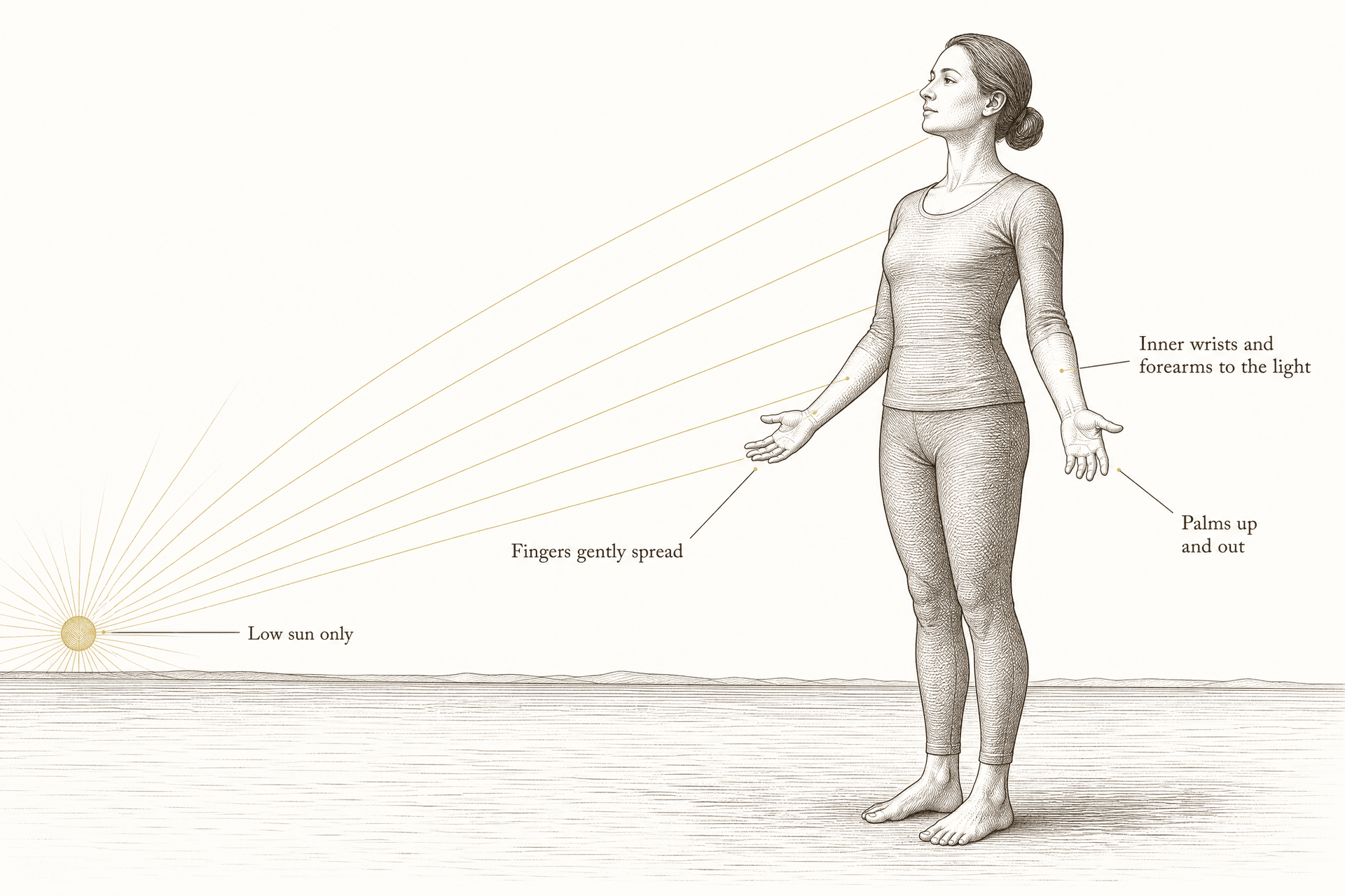 A standing figure faces a low brass sun at the horizon, arms relaxed and slightly away from the body, palms turned up and out, with ruled rays landing on the palms, the inner wrists and forearms, and the face.
