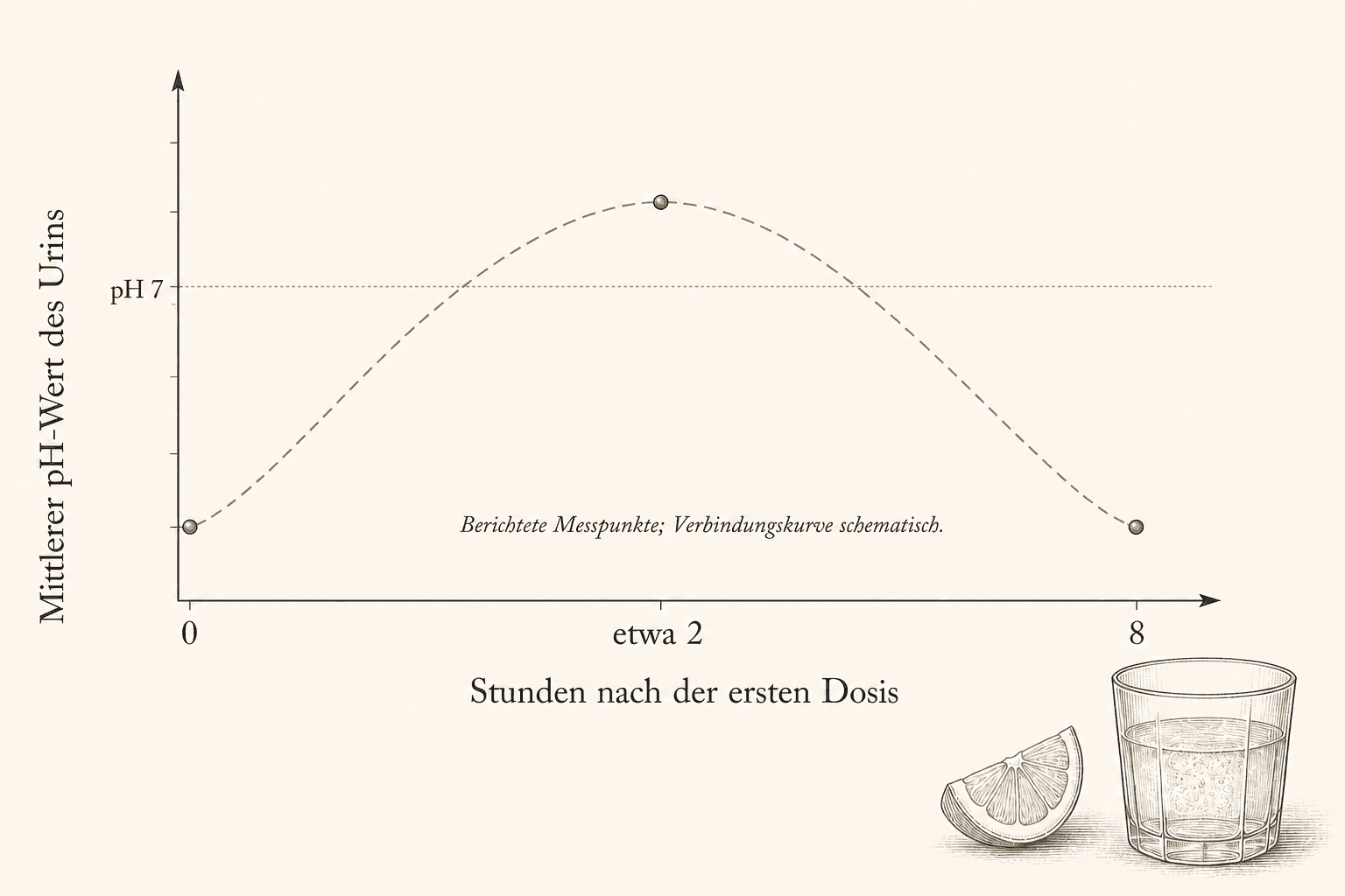 Eine klar beschriftete Grafik des Urin-pH: Ausgangswert bei null Stunden, Mittelwert über pH 7 nach etwa zwei Stunden und Rückkehr zum Ausgangswert nach acht Stunden.
